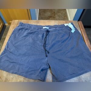 Casual Athletic Gray Men’s Sz 3XL Drawstring 6 inch Shorts